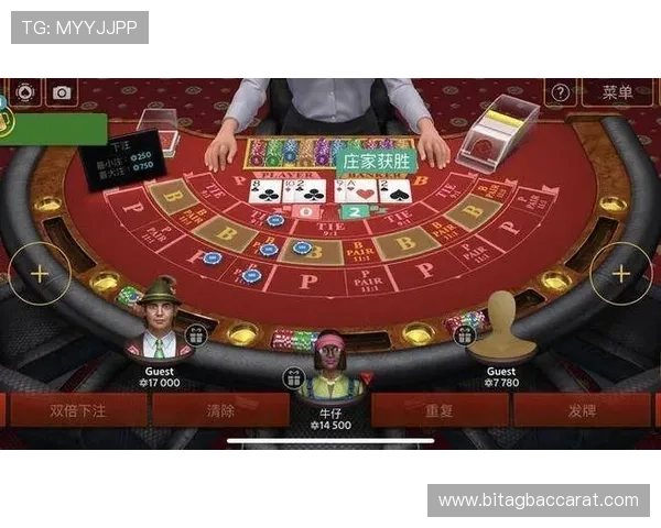 详细介绍赌博百家乐的历史背景与发展趋势引领你走进游戏的世界